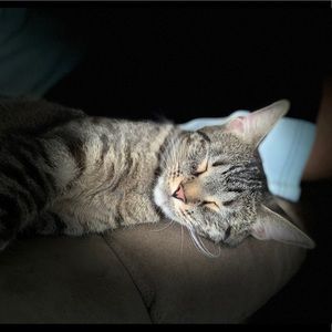 Meet your Posher, Tyree